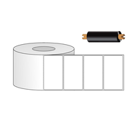 T / Transfer Labels